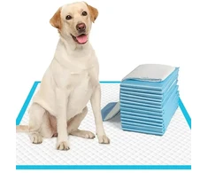 Goodbuy Disposable nappies for animals 20 pcs 60×90 cm