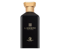 Grandeur L'Ambre EDP parfumuotas vanduo vyrams, 100 ml