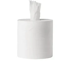 Popieriniai rankšluosčiai GRUINE, 1 sl., 20cm x 290m, balta sp., 100% celiuliozė, su šerdim
