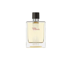 Hermes Terre d'Hermes Flacon H Limited Edition EDT tualetinis vanduo vyrams, 100 ml