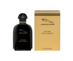 Kvepalai vyrams Jaguar For Men EDT, 100 ml