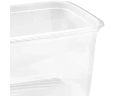 Stoneline Keeeper Food container set rectangular 2x2L Fredo "Fresh" transparent/crystal pilka