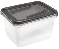 Stoneline Keeeper Food container set rectangular 2x2L Fredo "Fresh" transparent/crystal pilka