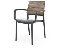 Keter Garden chair Deco Porto Armchair ash wood shade/pilkas