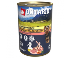 Ontario Ėrienos paštetas su Šaltalankiu 400g