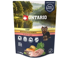 Ontario Karpis su Daržovėmis sultinyje 300g