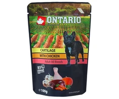 Ontario Kremzlės ir Vištiena sultinyje 100g