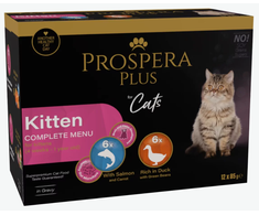 PROSPERA Plus maistas kačiukams 12 x 85 g