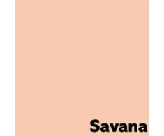 Krāsains papīrs IMAGE COLORACTION, A4, 80 gsm, 50 loksnes, SAVANA / PALE SALMON
