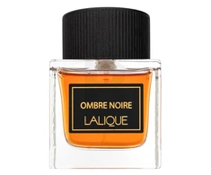 Kvepalai vyrams Lalique Ombre Noire EDP, 100 ml