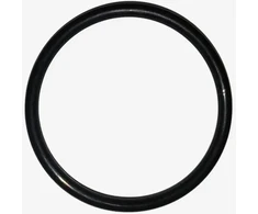 LEIFHEIT O-Ring for vacuum window cleaner Nemo