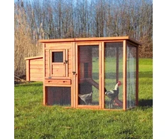 Mājiņa putniem : Trixie Chicken Coop with Enclosure. 170 × 105 × 77 cm