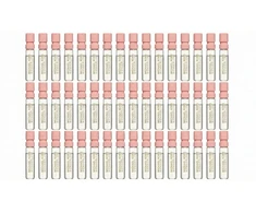 Michael Kors Wonderlust Vial EDP Pack 50 X 1,, 5 ml