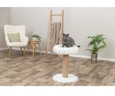 Nagu asinēmais - Trixie Mirella katėms skirtas drabužis su guoliu, 68 cm