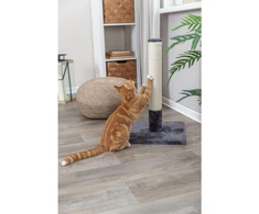 Trixie Batres draskyklė stulpas katėms , 62 cm, pilka