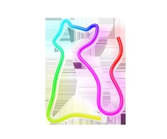 TelForceone Neoninis LED RGB šviestuvas CAT FLRN03 + RC Forever Light