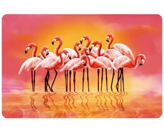 Newill Placemat 43.5x28cm flamingo