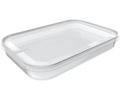 NHG Plastikinė dėžutė maistui užšaldyti Plast Team 1.5l/29.5x19x3.9cm Helsinki