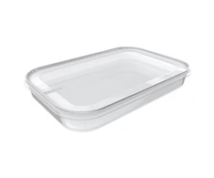 NHG Plastikinė dėžutė maistui užšaldyti Plast Team 1.5l/29.5x19x3.9cm Helsinki