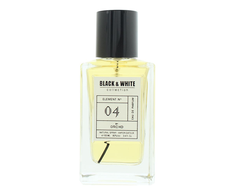 Orchid Juodas &amp; Baltas Collection Element No.04 EDP parfumuotas vanduo unisex, 100 ml