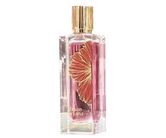 Paris Corner Ibisco Nirvana PP kvepalai unisex, 65 ml
