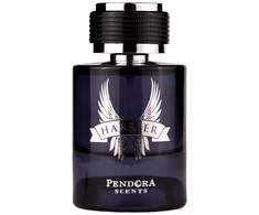 Pendora Scents Harrier EDP parfumuotas vanduo vyrams, 100 ml