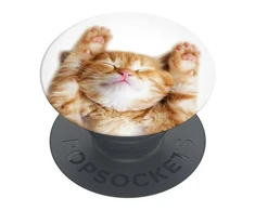 Popsockets PopGrip Basic Snoozy Cat