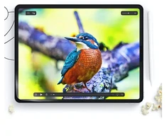 APSauginė plėvelė HOFI PAPER PRO+ 2 vnt. IPAD AIR 10.9 4 | 5 | 2020-2022 | PRO 11 2 | 3 | 4 | 2020-2022 MATINĖ SKAIDRI