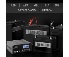 Qoltec 12v-12,6v-24v 52491