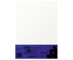 Rašomasis popierius SMLT, A4, langeliais (100) 0703-002