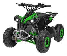 1Deame RENEGADE HIPERFECT 110CC žalias motorizuotas keturratis