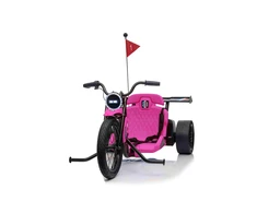 Ramiz Rožinė Elektrinis motociklas Drift Bike 21, Rožinė