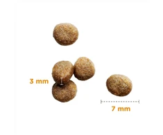 IAMS sausas maistas kačiukams su vištiena, 800g