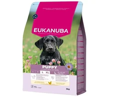 Eukanuba Life Care Puppy Large sausas maistas didelių veislių šuniukams su vištiena, 3kg