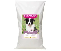 Sausa barība kucēniem - Eukanuba Puppy Medium vištiena, 18 kg