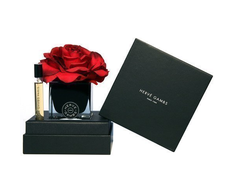 Set Herve Gambs: Ecorce Fauve, Room Purškiklis, 10 ml + Juodas Couture Flower, Porcelain, Aroma Reed Diffuser, Juodas