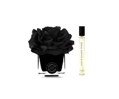 Set Herve Gambs: Ombre Patchouli, Room Purškiklis, 10 ml + Juodas Couture Flower, Porcelain, Aroma Reed Diffuser, Juodas