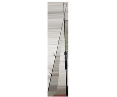 Spinningas Pro Catch 198cm