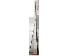 Spinings Pro Catch 210cm