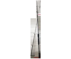 Spinings Pro Catch 210cm