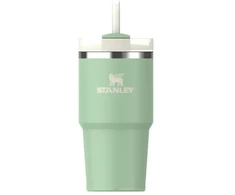 Stanley Thermo mug with straw The Quencher H2.O FlowState Tumbler 0.59L pistachio color