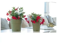 Stefanplast Flower pot with tray Ethica Ø40x39cm žalias