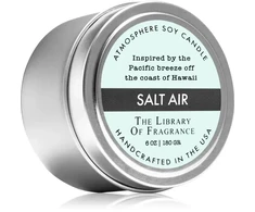 The Library Of Fragrance Salt Air 142 g