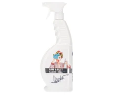 Blux Kalkių ir rūdžių valiklis 650ml
