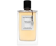 Van Cleef &amp; Arpels Collection Extraordinaire Bois D'Iris EDP for women 75 ml