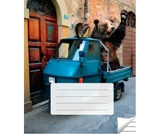 Victor Stationery Ou Sąsiuvinis linijomis, 36 lapai. Vidinių lapų gramatūra – 90 g/m2.