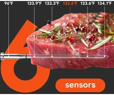 Virtuvinės svarstyklės Retoo Meatmeet S Pro Kitchen Thermometer with Bluetooth App for Grilis, Oven, Smoker - Gray