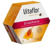 Vitaflor Bičių pienelis Energija 20 vnt. 200ml