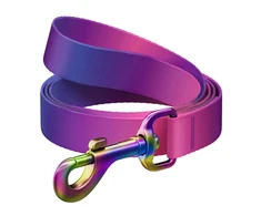 WAUDOG gradientinis nailoninis pavadėlis šuniui, 15 mm pločio, 122 cm ilgio, violetinis