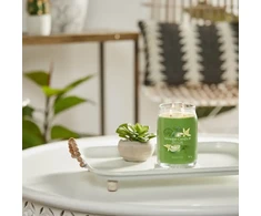 Yankee Candle Didelė kvapni žvakė Vanilė ir laimas 567 g